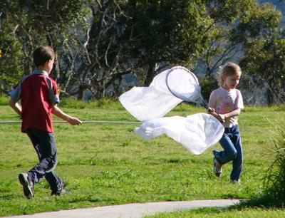 Butterfly Net