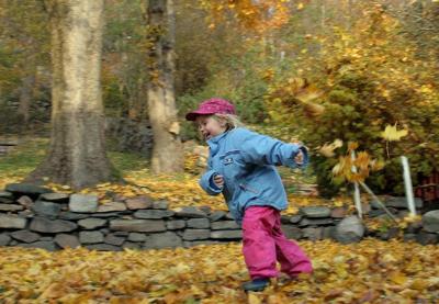 Playing in the Autumn Leaves