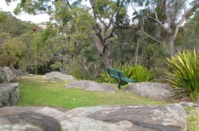 Rocky Place - see the Gymea Lilies