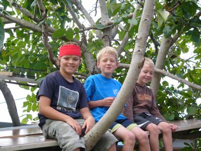 After this we were sent to the concentration camp