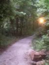 Mystery Trail